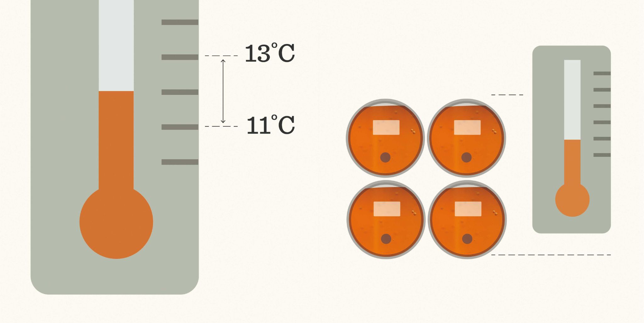 Cask Care How To Take Perfect Care of Our Beer Timothy Taylor’s